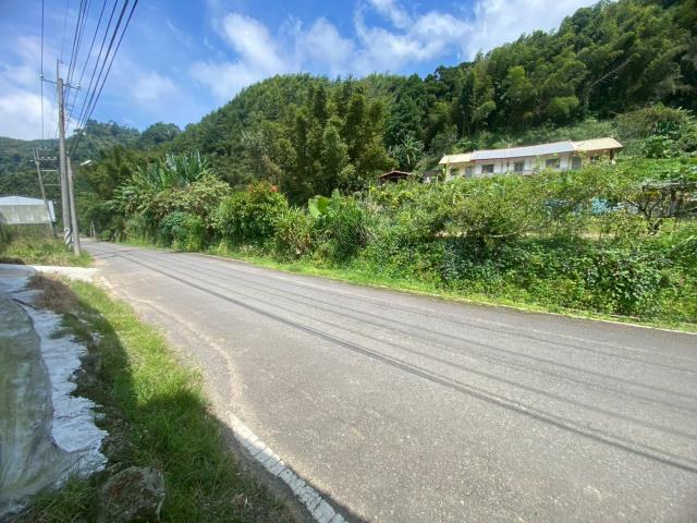 鹿谷農地-5