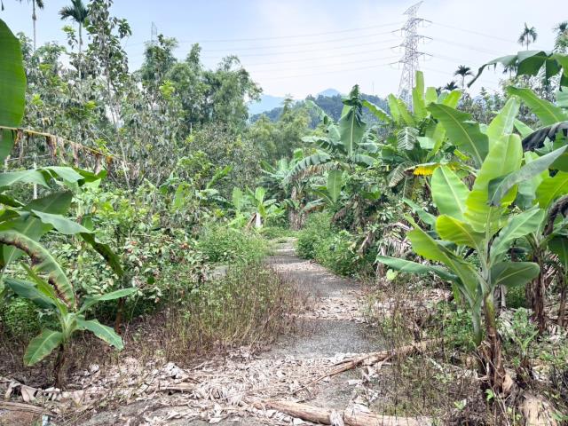 番路農地-5