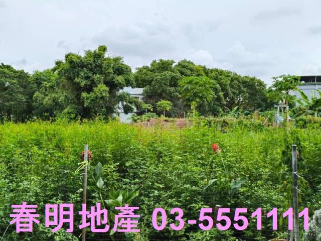 東區農地-1