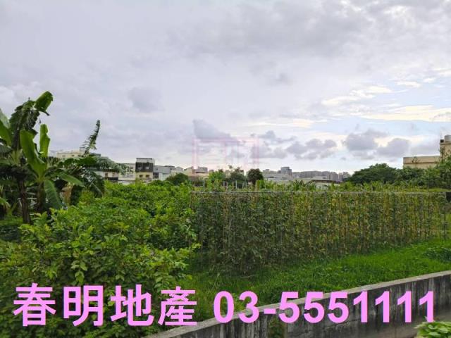 東區農地-2