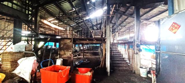 高雄阿蓮農地-5