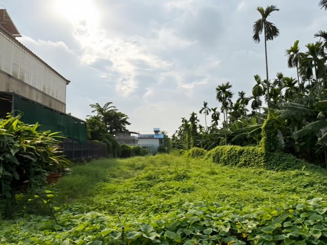 屏東竹田農地-1