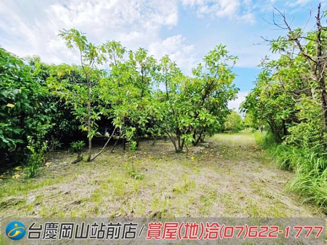 高雄岡山農地-11