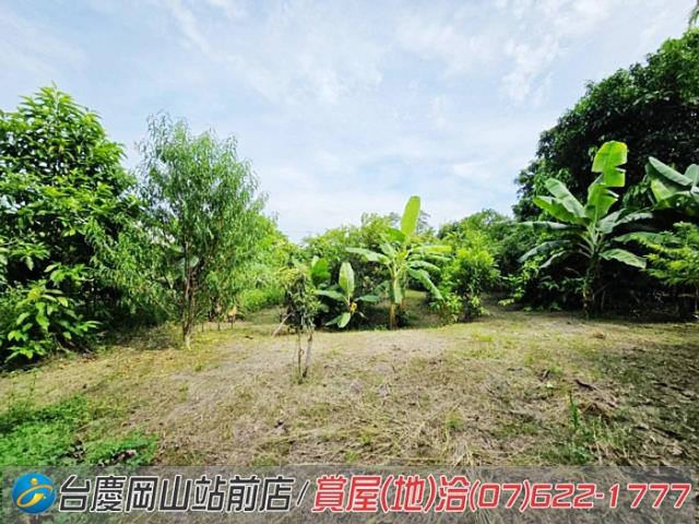 高雄岡山農地-2