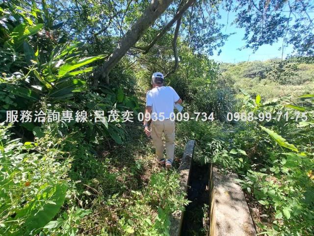 新北石門農地-11