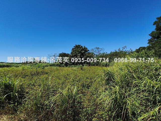 新北石門農地-6