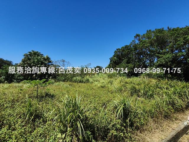 新北石門農地-7