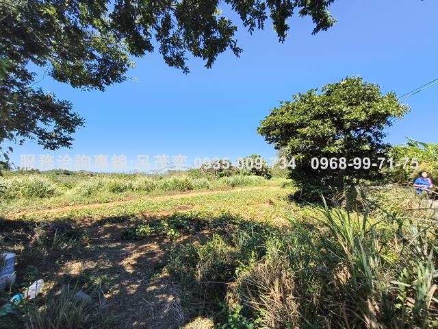 新北石門農地-9