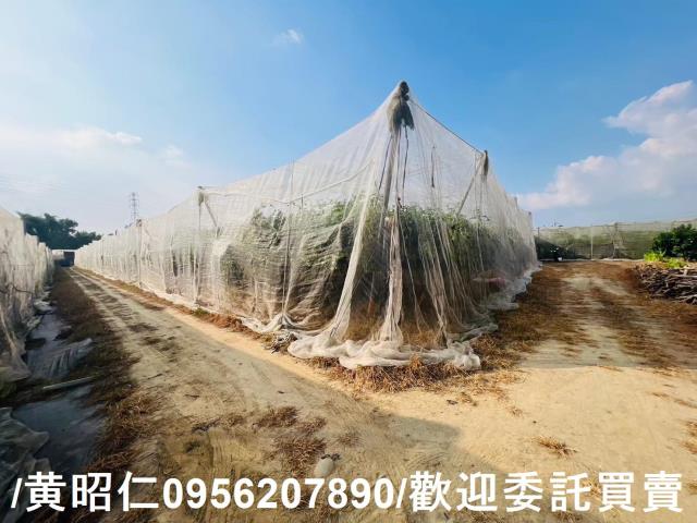 台南玉井農地-10