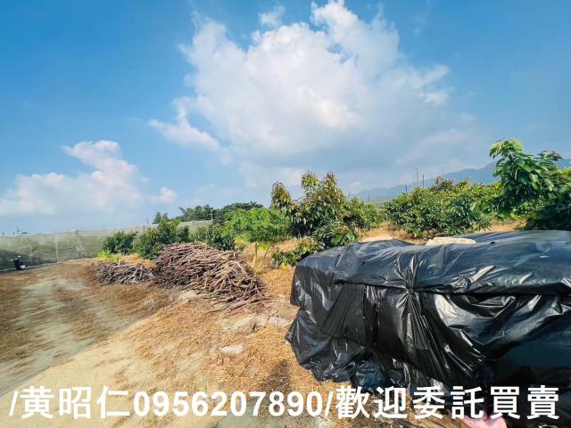 台南玉井農地-7