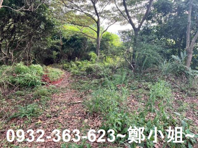桃園區農地-2