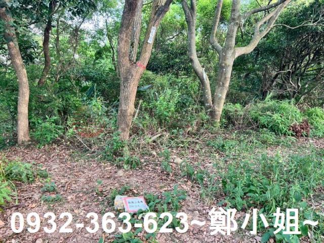 桃園區農地-3