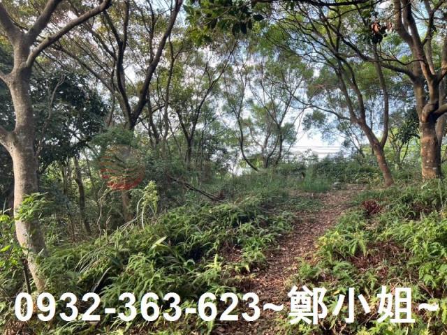 桃園區農地-4
