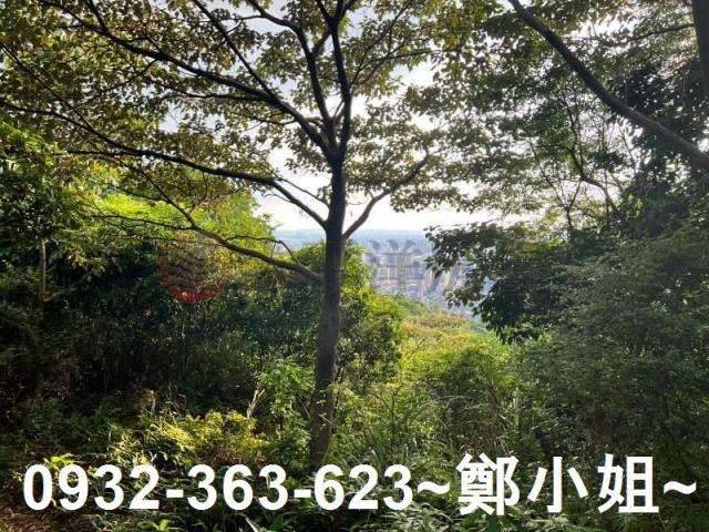 桃園區農地-5