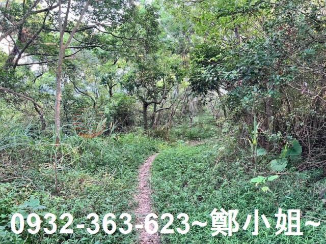 桃園區農地-6
