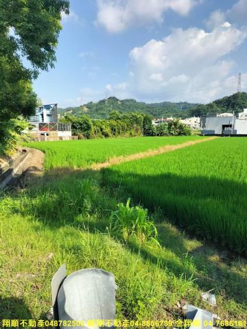 雲林農地-2