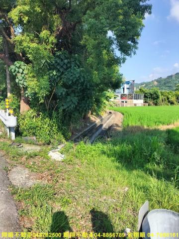 雲林農地-3