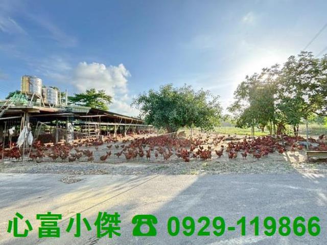 高雄田寮農地-1