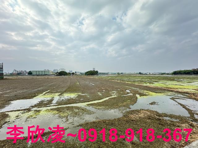 西區農地-3