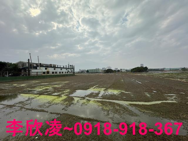 西區農地-6
