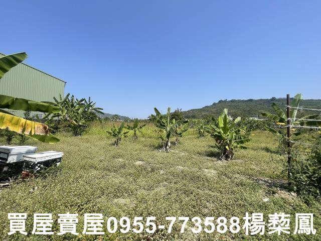 高雄岡山農地-10