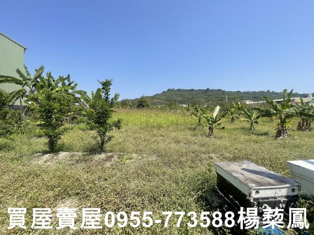 高雄岡山農地-11