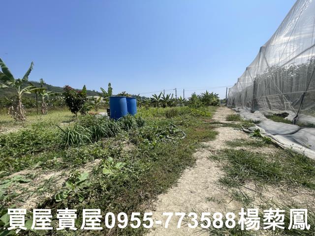 高雄岡山農地-13