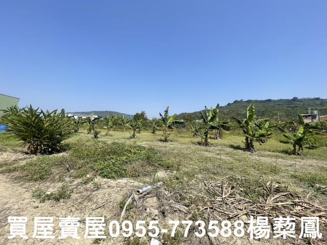 高雄岡山農地-7