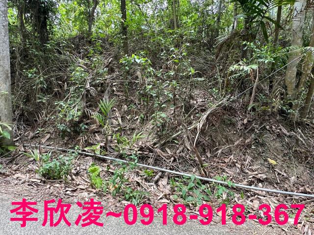 古坑農地-5