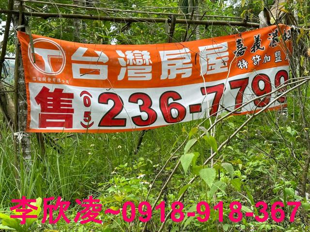 古坑農地-6