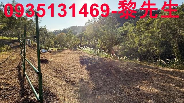 竹東農地-1