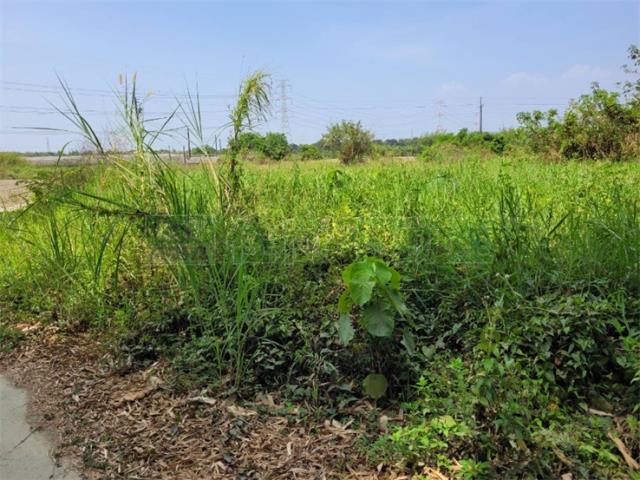 高雄阿蓮農地-12