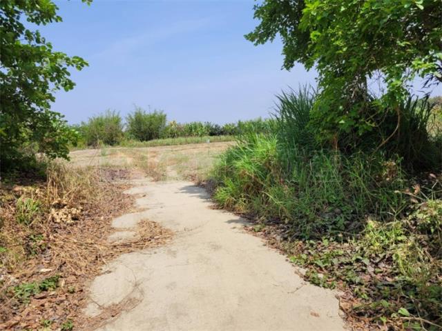 高雄阿蓮農地-4