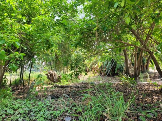 高雄阿蓮農地-8