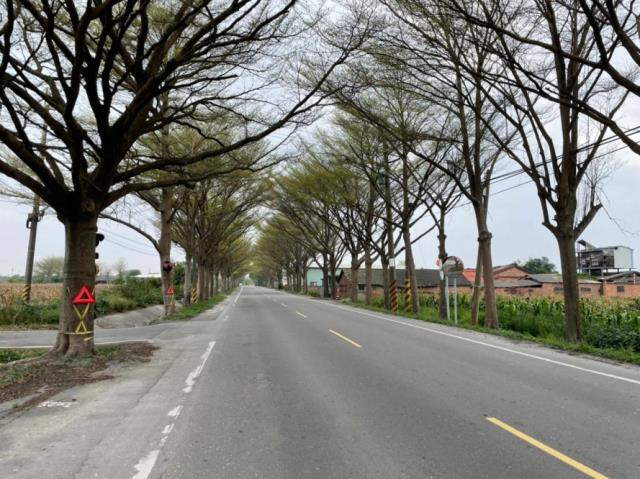 台南學甲農地-10