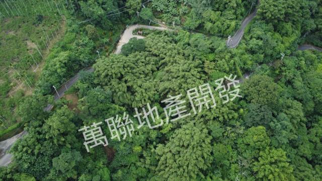 台中山坡地保育區林業-13