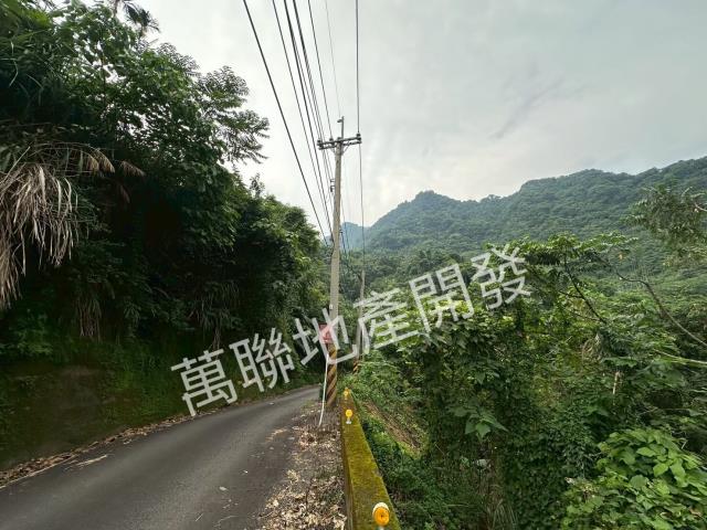 台中山坡地保育區林業-4
