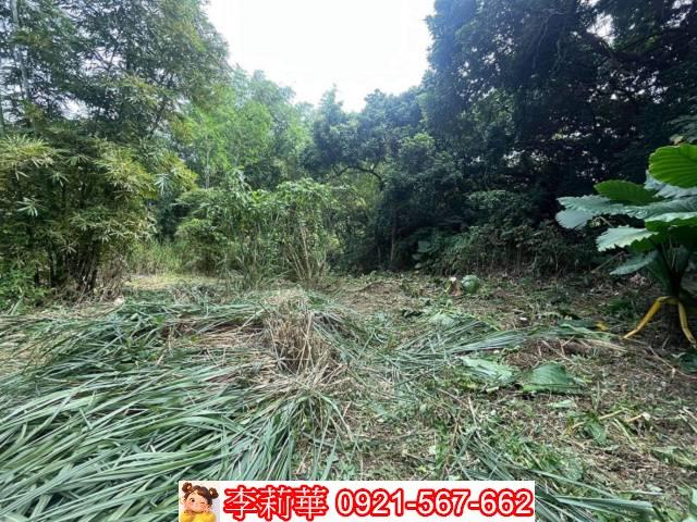 高雄田寮農地-9