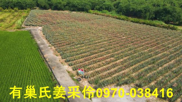 民雄農地-1