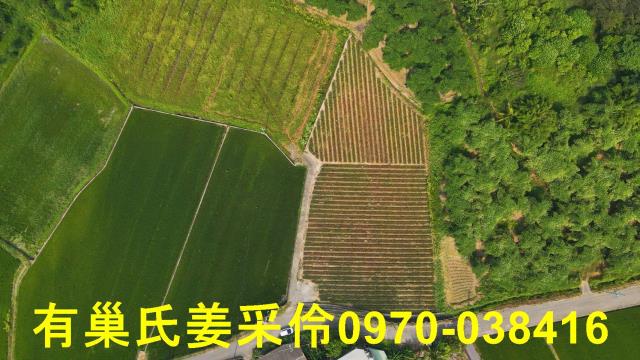 民雄農地-5