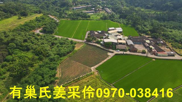 民雄農地-9