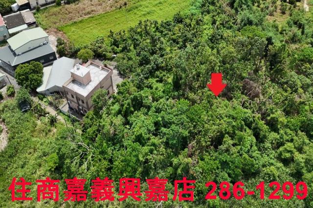 嘉義農地-2
