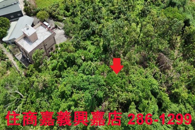 嘉義農地-3