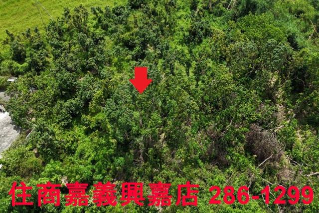 嘉義農地-4
