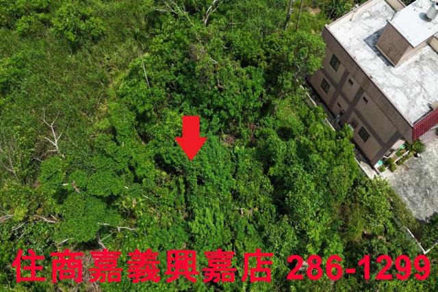 嘉義農地-5