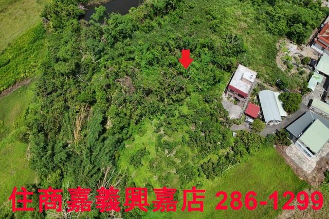 嘉義農地-6