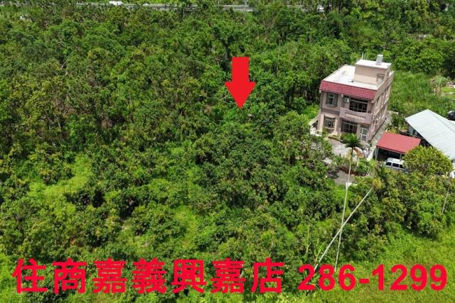 嘉義農地-7
