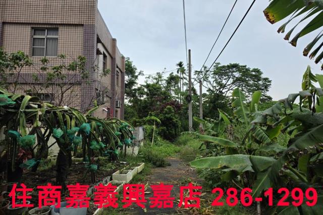 嘉義農地-8