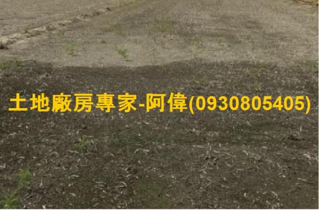 高雄大寮農地-1
