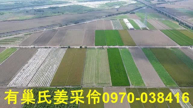 嘉義鹿草農地-5